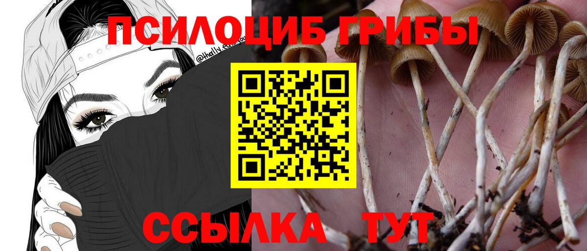Ангарск  Псилоцибиновые грибы ЛСД  Псилоцибиновые грибы Psilocybine cubensis  Вход с VPN 